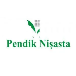Pendik Nişasta